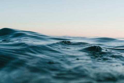 onde del mare